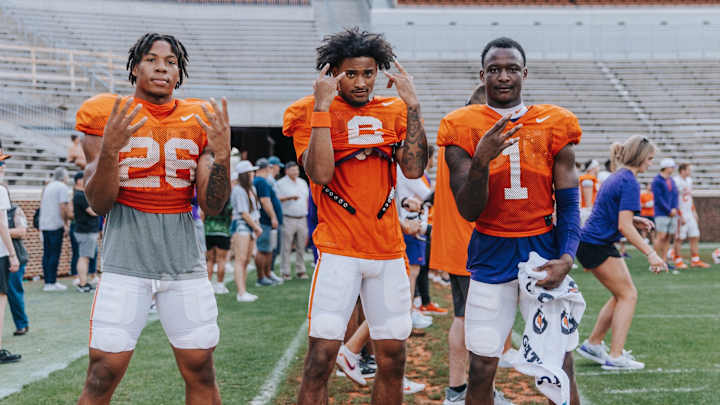 Clemson Spring Game: Rosters Breakdown