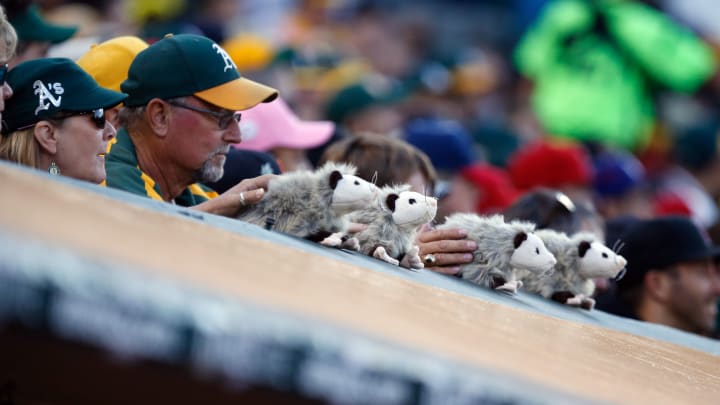Mets Broadcasters Had to Vacate Normal Booth in Oakland Due to Possum