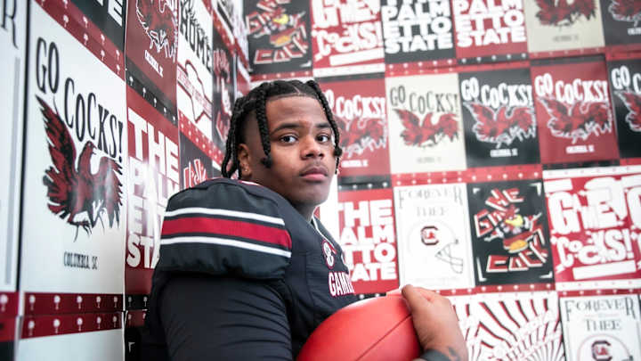 Mike Williams Fits Mold Gamecocks Are Looking For