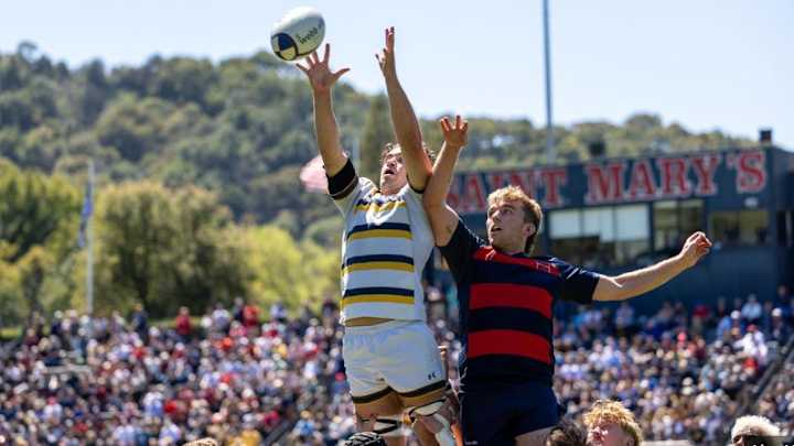 Cal Rugby Semifinal Preview: When Is a 50-14 Loss Not a 50-14 Loss?