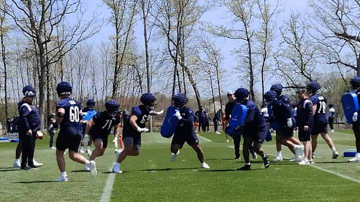 Bears Staying Off the Grass with Their Bodies