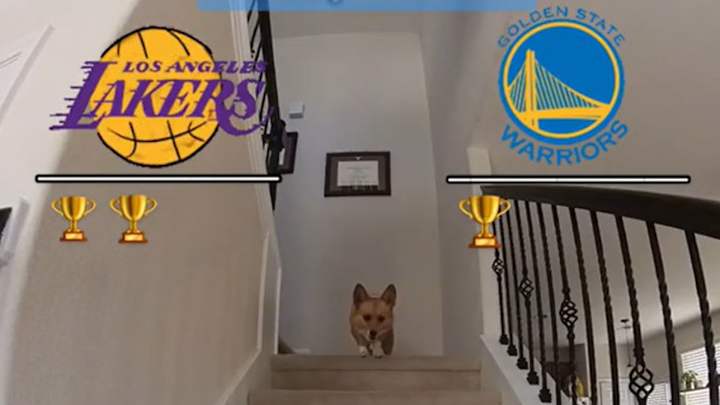 Meet the Adorable Dog That Has Correctly Picked Every Game of Lakers-Warriors Series