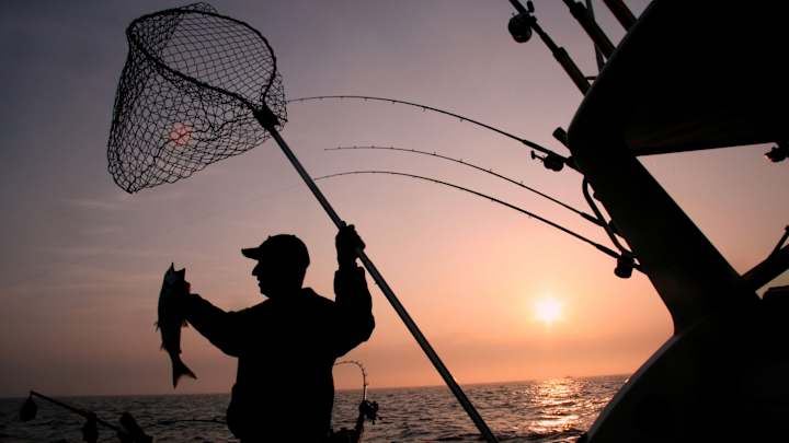 Fishing Tournament Duo Receives Jail Sentences After Pleading Guilty to Cheating