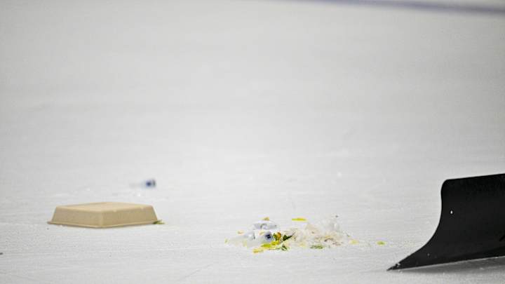 Stars Apologize for Fans Throwing Trash on Ice, Causing Delay During Game 3 Stars Apologize for Fans Throwing Trash on Ice, Causing Delay During Game 3