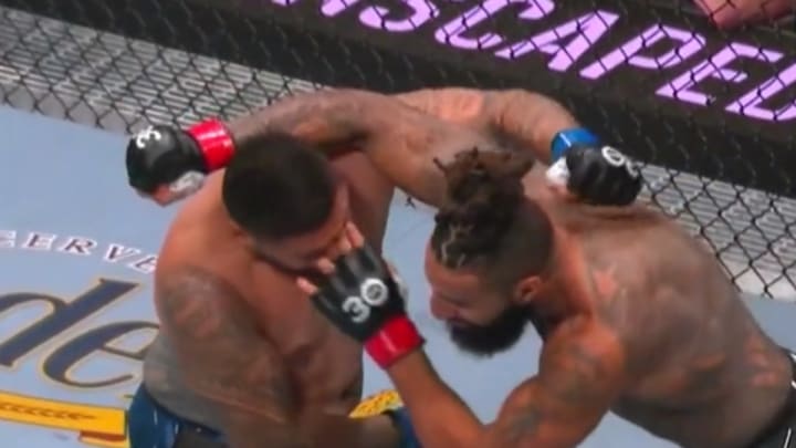 VIDEO: Disgusting Eye Poke Ends UFC Jacksonville Fight Early