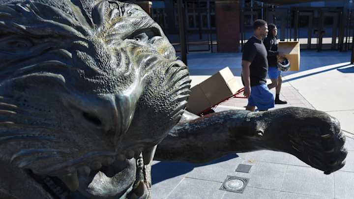 Jaguars Play Role in Cub Named at Jacksonville Zoo