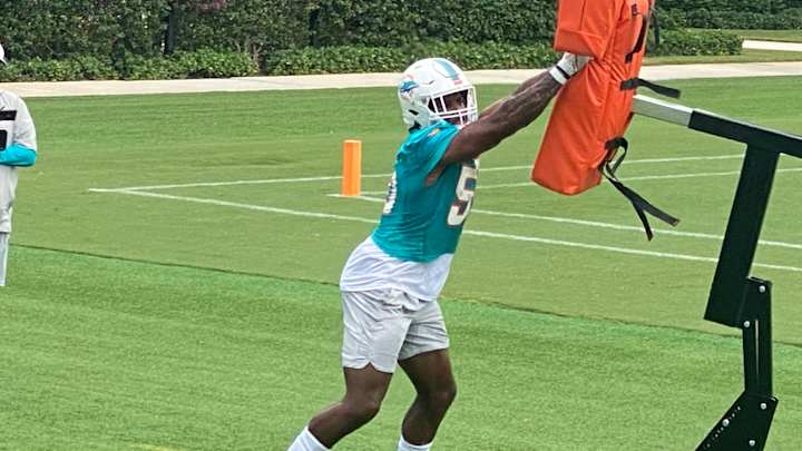 Miami Dolphins Stock Report (Day 2)