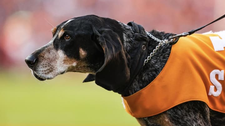 Tennessee Football Player Makes Bold Prediction About Game Against Georgia