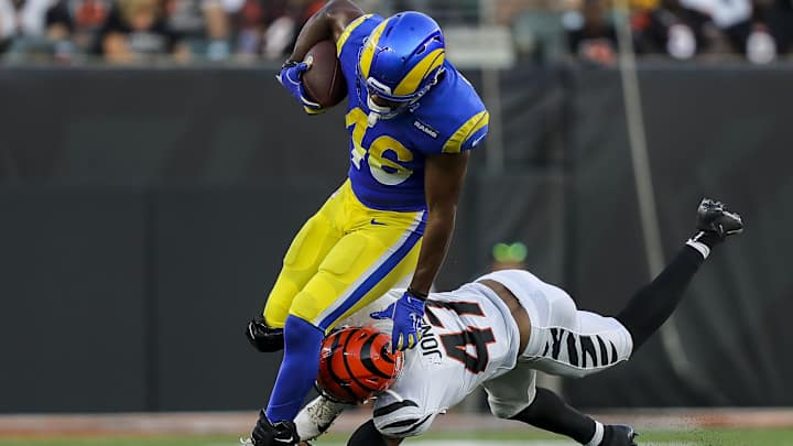 Bears Add Tight End to Roster
