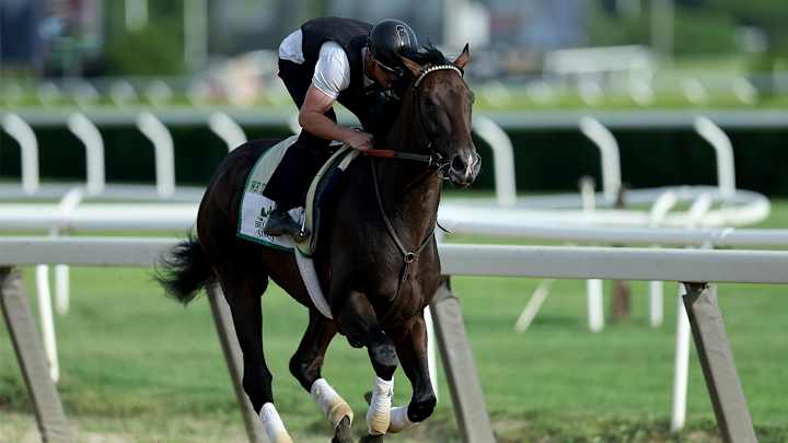 2022 Belmont Stakes: Betting Profiles for Top Contenders, Value Long Shots