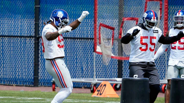 New York Giants Training Camp Preview: DE Jihad Ward