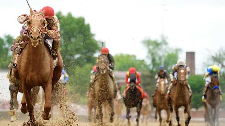 2022 Belmont Stakes Betting Breakdown and Best Bets