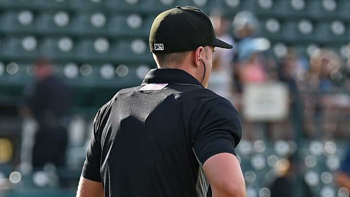 Atlantic League Game Ends With Controversial Call, Descends Into Chaos Atlantic League Game Ends With Controversial Call, Descends Into Chaos