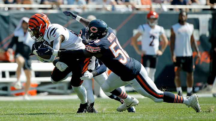 Bears Defensive Decline Apparent Bears Defensive Decline Apparent