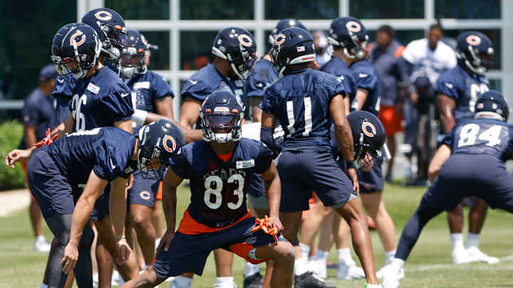 Weeding Out Roster a Tough Bears Chore