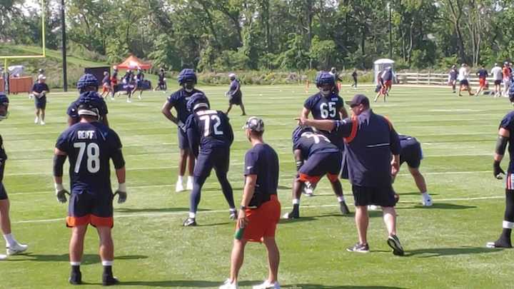 Bears Exploring Their Options