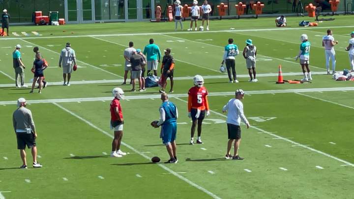 Dolphins Offense Training Camp Progress Report