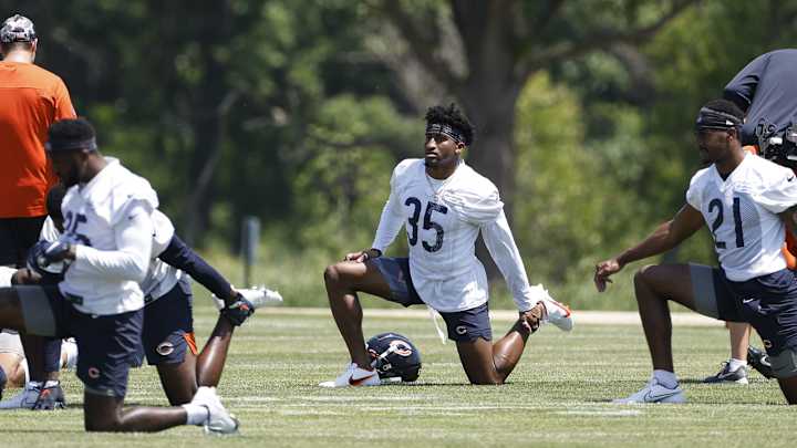 Bears Who Have Surprised