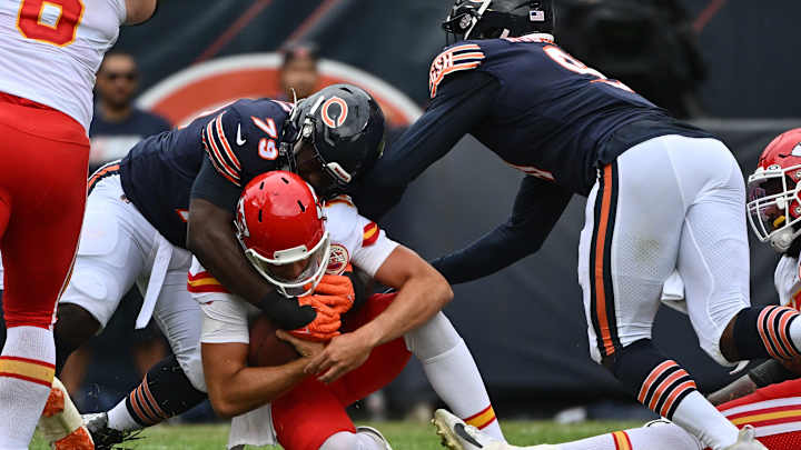 The Scenery Looks Different for Bears The Scenery Looks Different for Bears