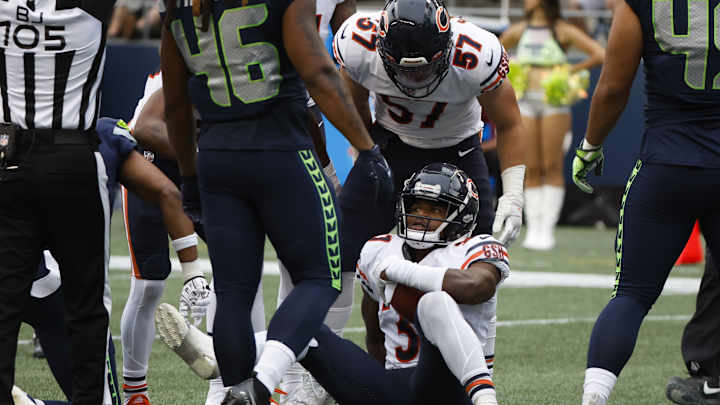 Bears Emerge Efficiency Experts