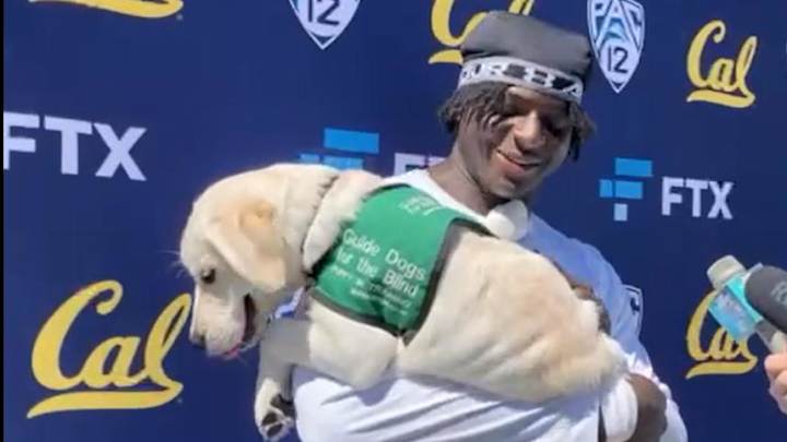 The Dog Days of Cal's Preseason Football Camp