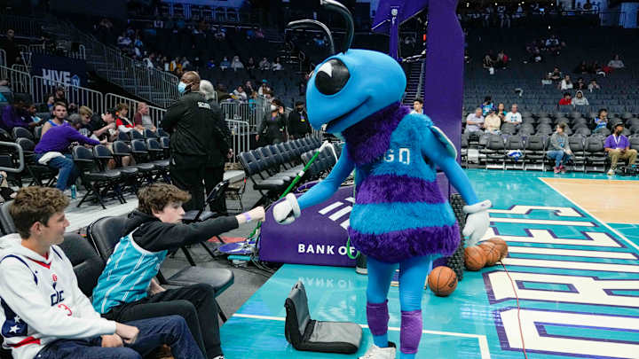 Hornets Fan Survey Results: Part 1 Hornets Fan Survey Results: Part 1