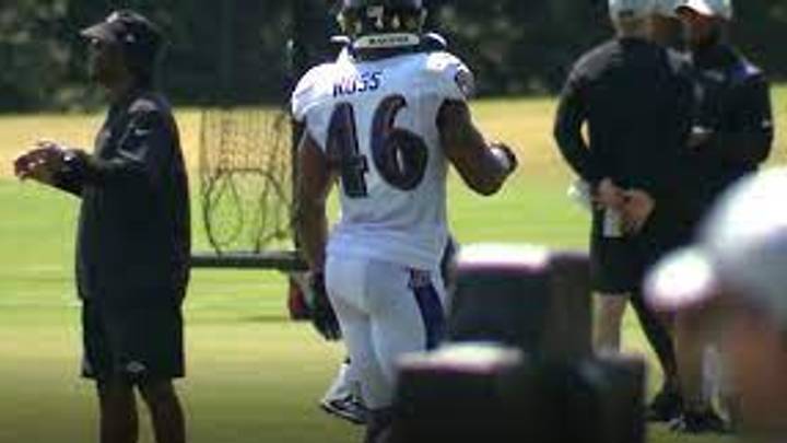 Final Ravens Roster Spots Could Come Down to Special Teams