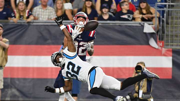 Breaking Down 10 Panthers on the Roster Bubble