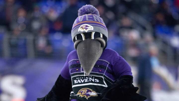 Ravens Mascot Poe Suffers Season-Ending Injury