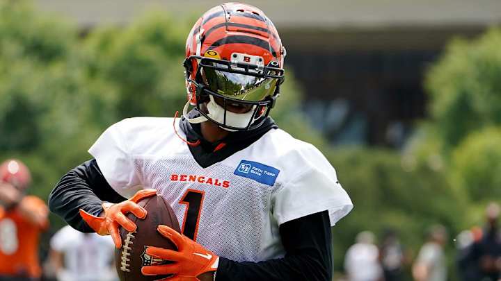 AFC North Future Odds Betting Breakdown