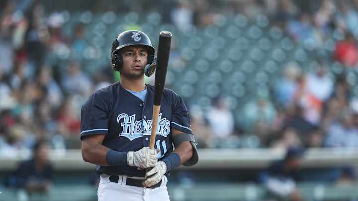 Houston Astros Prospect Bryan Arias Caps Off Comeback With Heroic Home Run Houston Astros Prospect Bryan Arias Caps Off Comeback With Heroic Home Run