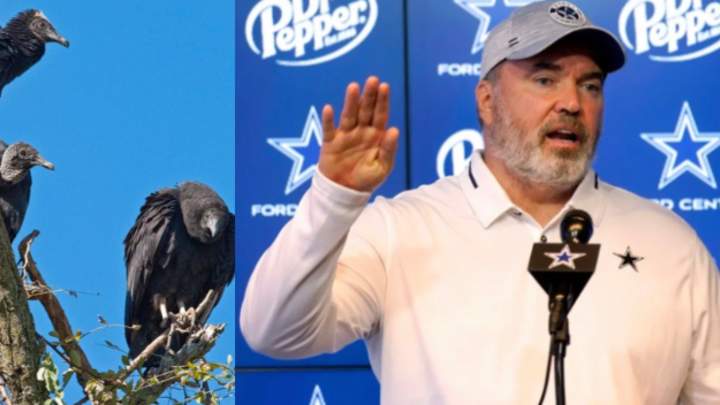 'Open Season' on Coach Mike McCarthy: Dallas Cowboys Week 1 'Hot Seat'? 'Open Season' on Coach Mike McCarthy: Dallas Cowboys Week 1 'Hot Seat'?