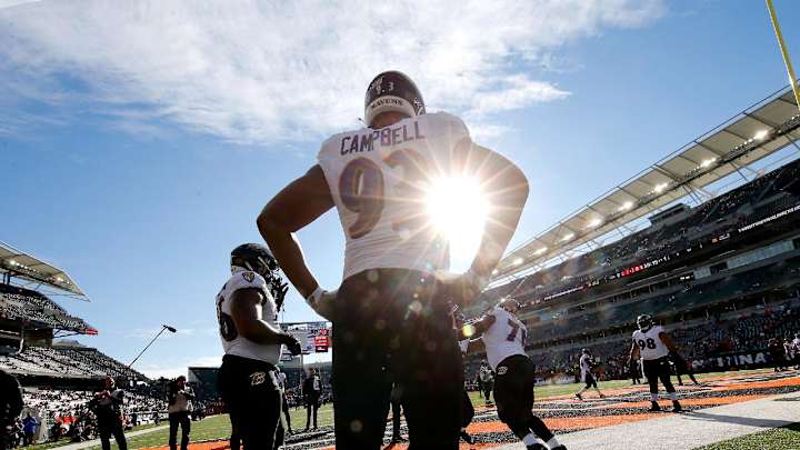 NFL Canes Continue To Push Through The Season With Playoff Aspirations