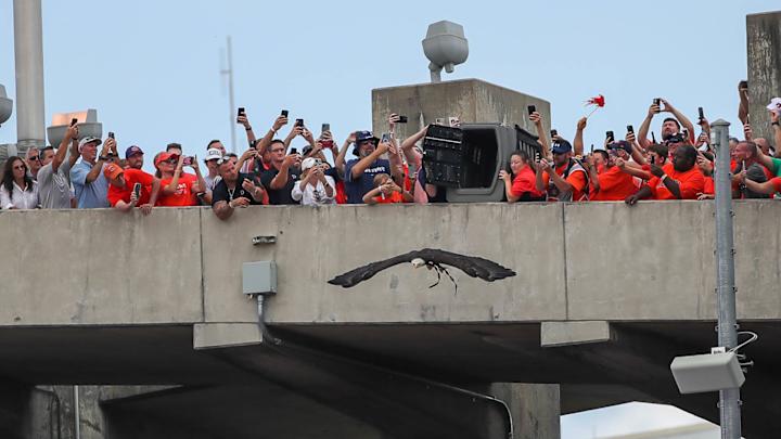 Getting to know more about Auburn's newest commit Gernorris Wilson