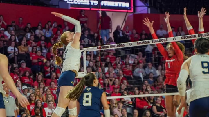 Georgia Tech Volleyball Sweeps Georgia On Saturday Night