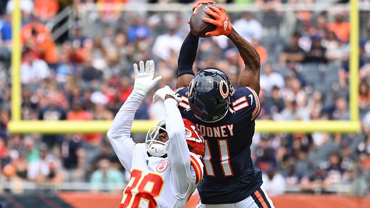 Questions About Bears Balancing Act