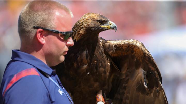 Breaking Down Auburn Recruiting Target Jamonta Waller Breaking Down Auburn Recruiting Target Jamonta Waller