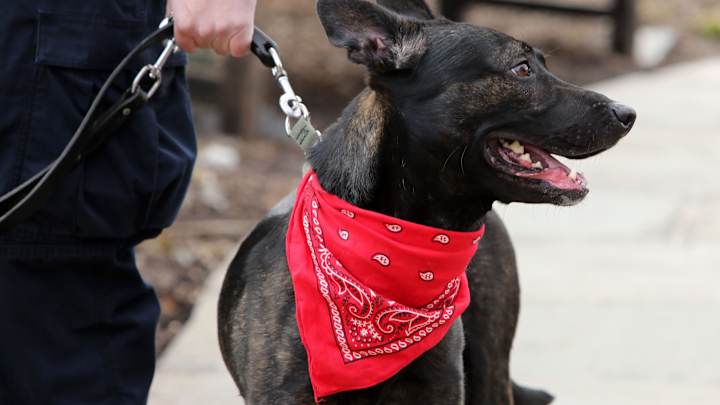 Swinney Honored to Participate in 'Red Bandana' Game