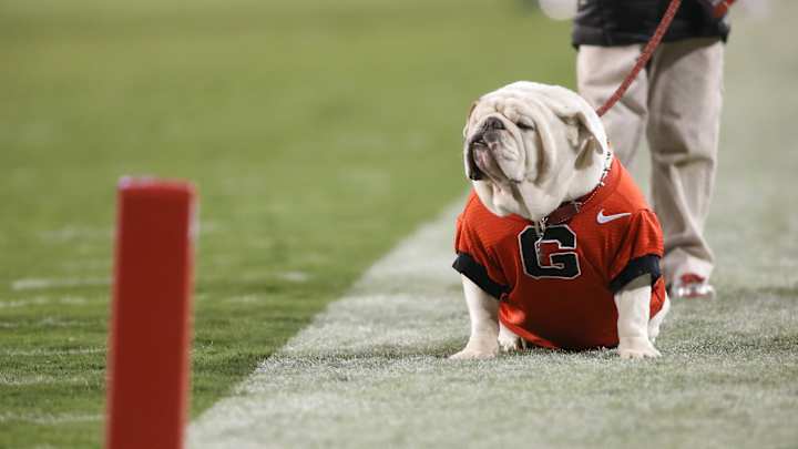 Five reasons Auburn football can beat Georgia