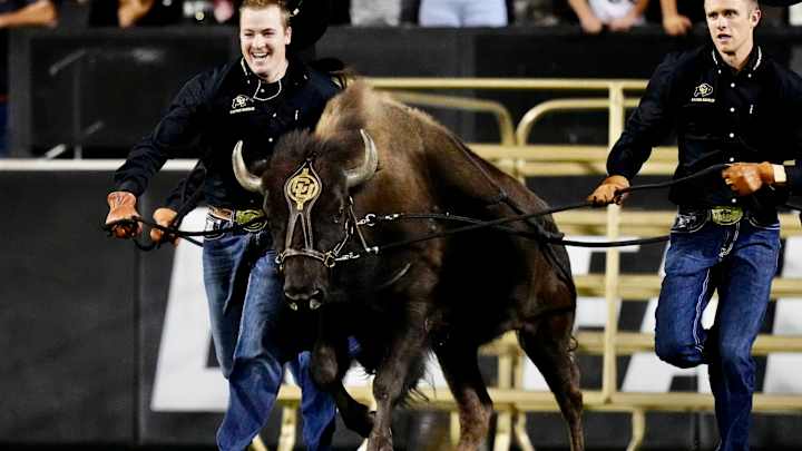 Cal Football: 1-9 in Their Past 10 Road Games, Bears Expected to Win Big at Colorado Cal Football: 1-9 in Their Past 10 Road Games, Bears Expected to Win Big at Colorado