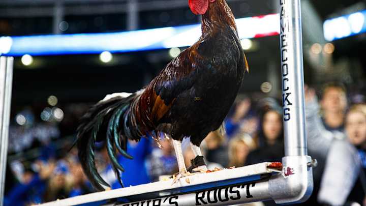 LIVE Updates: South Carolina vs. Texas A&M