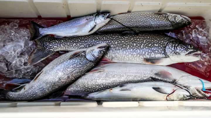 Fishermen Team Accused in Cheating Scandal Plead Not Guilty