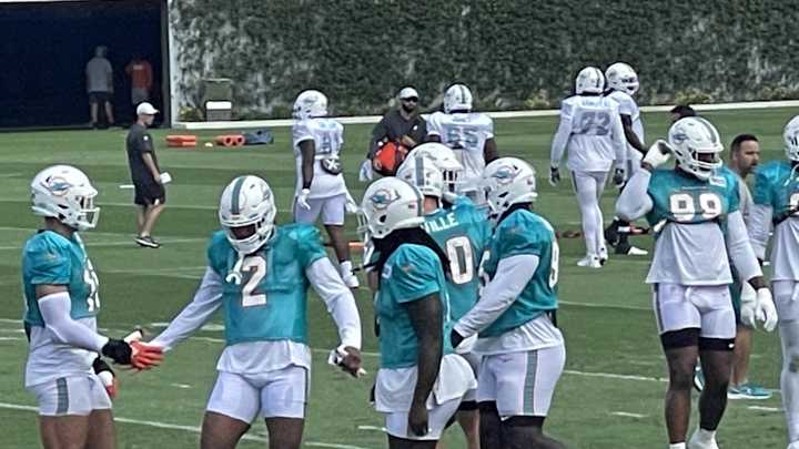 Miami Dolphins Stock Report (Day 3)