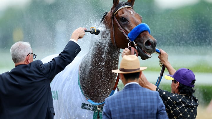 Meet Flightline, the Greatest Horse You Never Heard Of Meet Flightline, the Greatest Horse You Never Heard Of