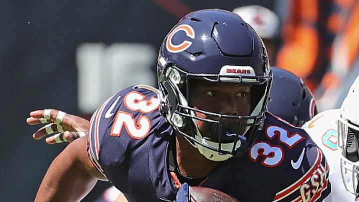 Bears and Dolphins Game Day Preview