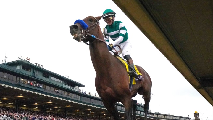 Unbeaten Flightline Runs Away to Breeders’ Cup Classic Win