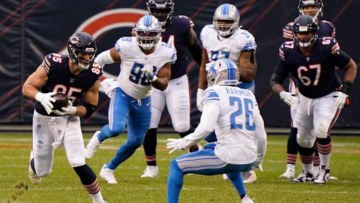 Where Bears Own an Edge Over Lions