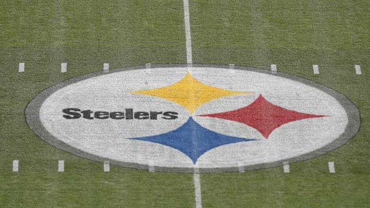Flock of Pigeons at Saints-Steelers Game in Pittsburgh Goes Viral
