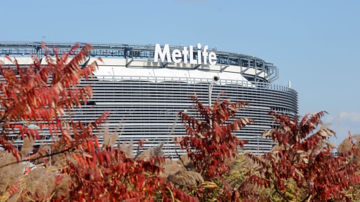 MetLife Stadium Turf to Be Replaced (Report)