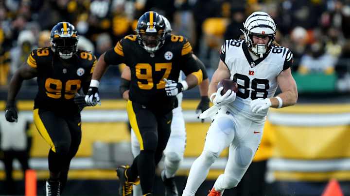 NFL Week Eleven: Gamecocks In The League